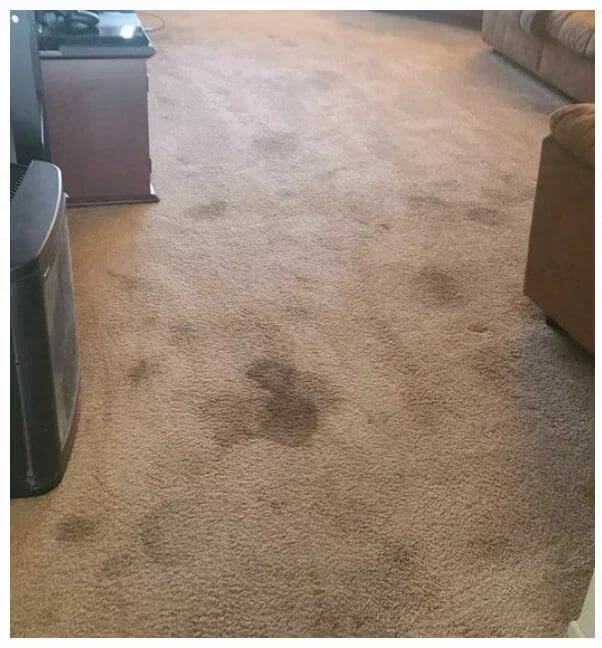 XXXL (10) XXXL (10)